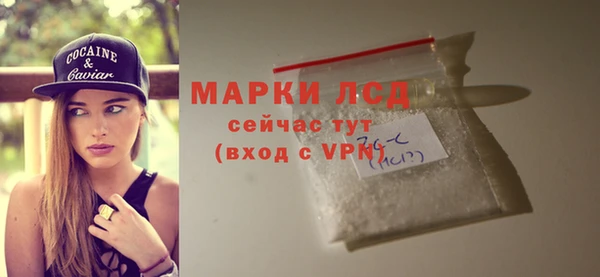 таблы Краснослободск