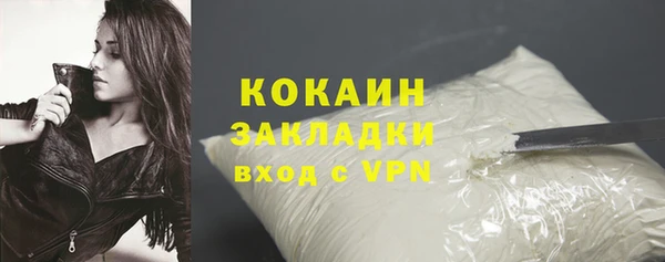 PSILOCYBIN Корсаков