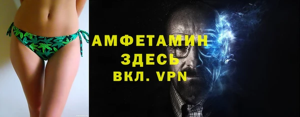 PSILOCYBIN Корсаков