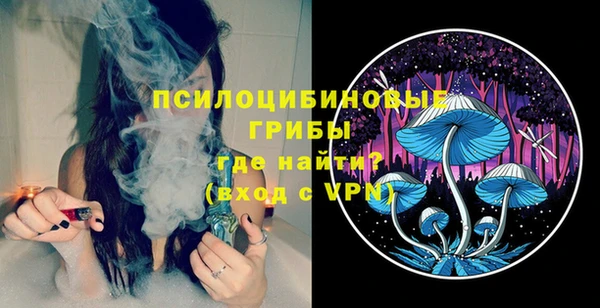 2c-b Коряжма