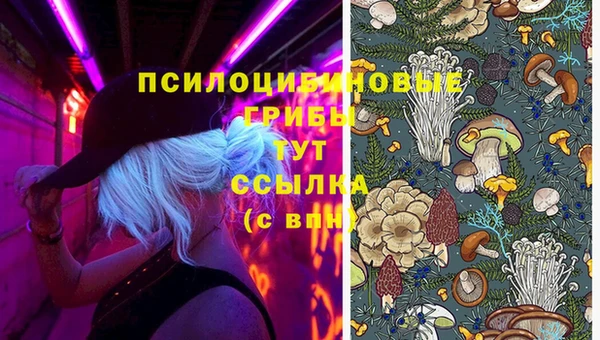 таблы Краснослободск