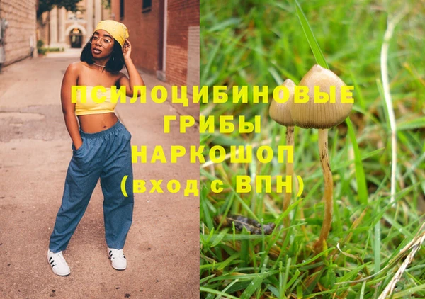 таблы Краснослободск