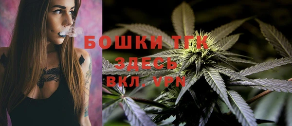 PSILOCYBIN Корсаков