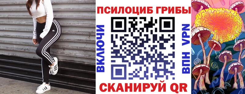 Галлюциногенные грибы мухоморы  Терек 